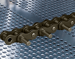 Roller chains extended pins